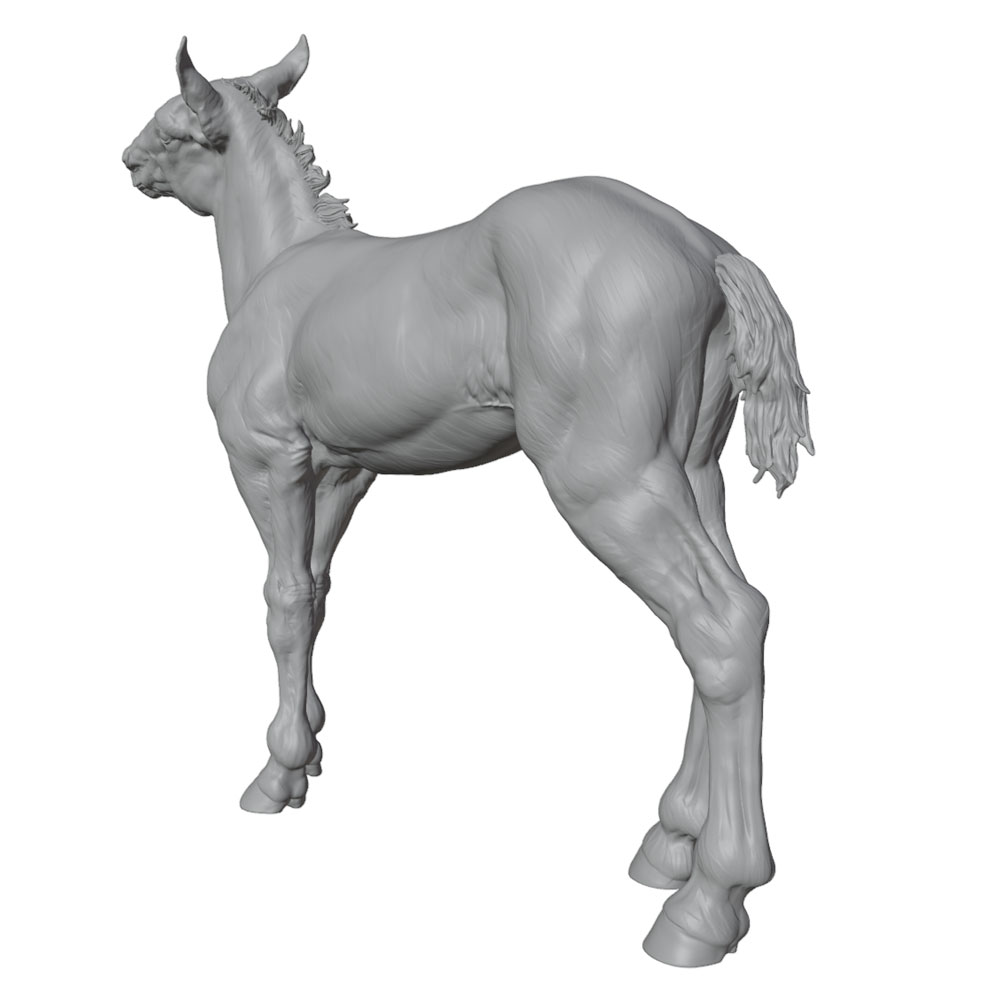 High-Detail Printing, Realisti - Model Kit Horse recension och pris