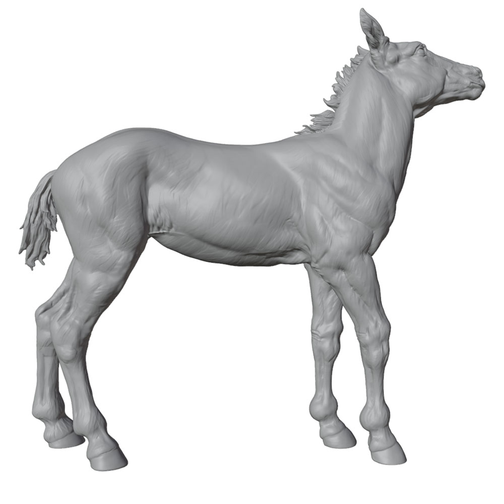 High-Detail Printing, Realisti - Model Kit Horse recension och pris